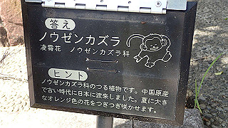 p6063942_thumb.jpg