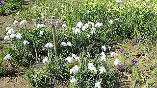 p6063943_thumb.jpg