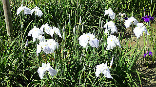 p6063944_thumb.jpg