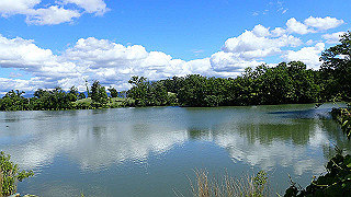 p6063947_thumb.jpg