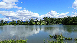 p6063949_thumb.jpg