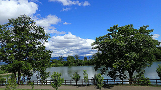 p6063951_thumb.jpg
