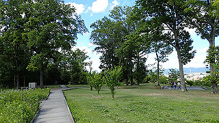 p6063952_thumb.jpg