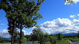 p6063955_thumb.jpg