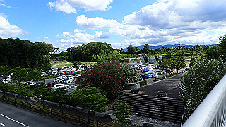 p6063958_thumb.jpg