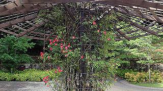 p6063966_thumb.jpg
