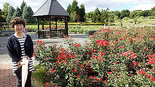 p6063982_thumb.jpg
