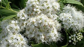 p6063984_thumb.jpg