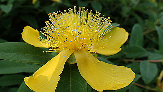 p6063991_thumb.jpg