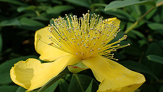 p6063993_thumb.jpg