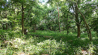 p6063995_thumb.jpg