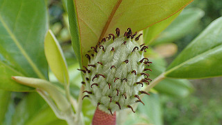 p6064018_thumb.jpg