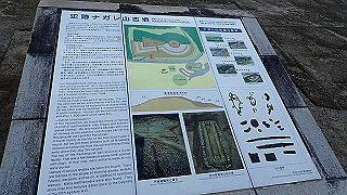 p6064020_thumb.jpg