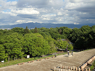 p6064034_thumb.jpg