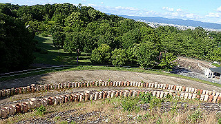 p6064042_thumb.jpg