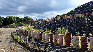 p6064045_thumb.jpg