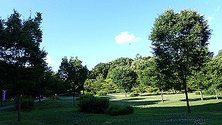 p6064046_thumb.jpg