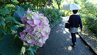 p6064048_thumb.jpg