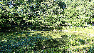 p6064049_thumb.jpg