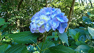 p6064051_thumb.jpg