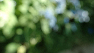 p6064056_thumb.jpg