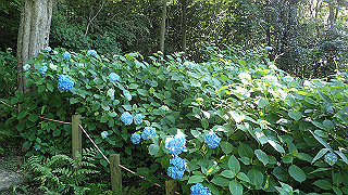 p6064059_thumb.jpg