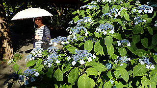 p6064060_thumb.jpg
