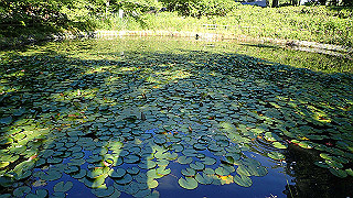 p6064063_thumb.jpg