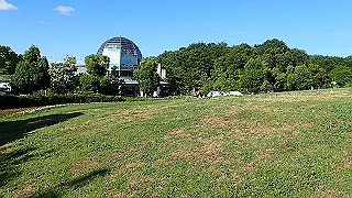 p6064068_thumb.jpg
