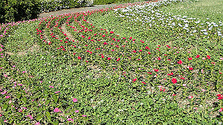 p6064070_thumb.jpg