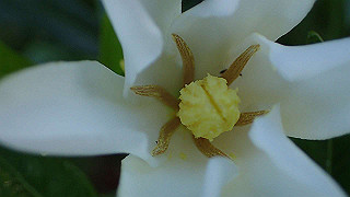p6064073_thumb.jpg