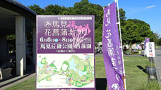 p6064074_thumb.jpg