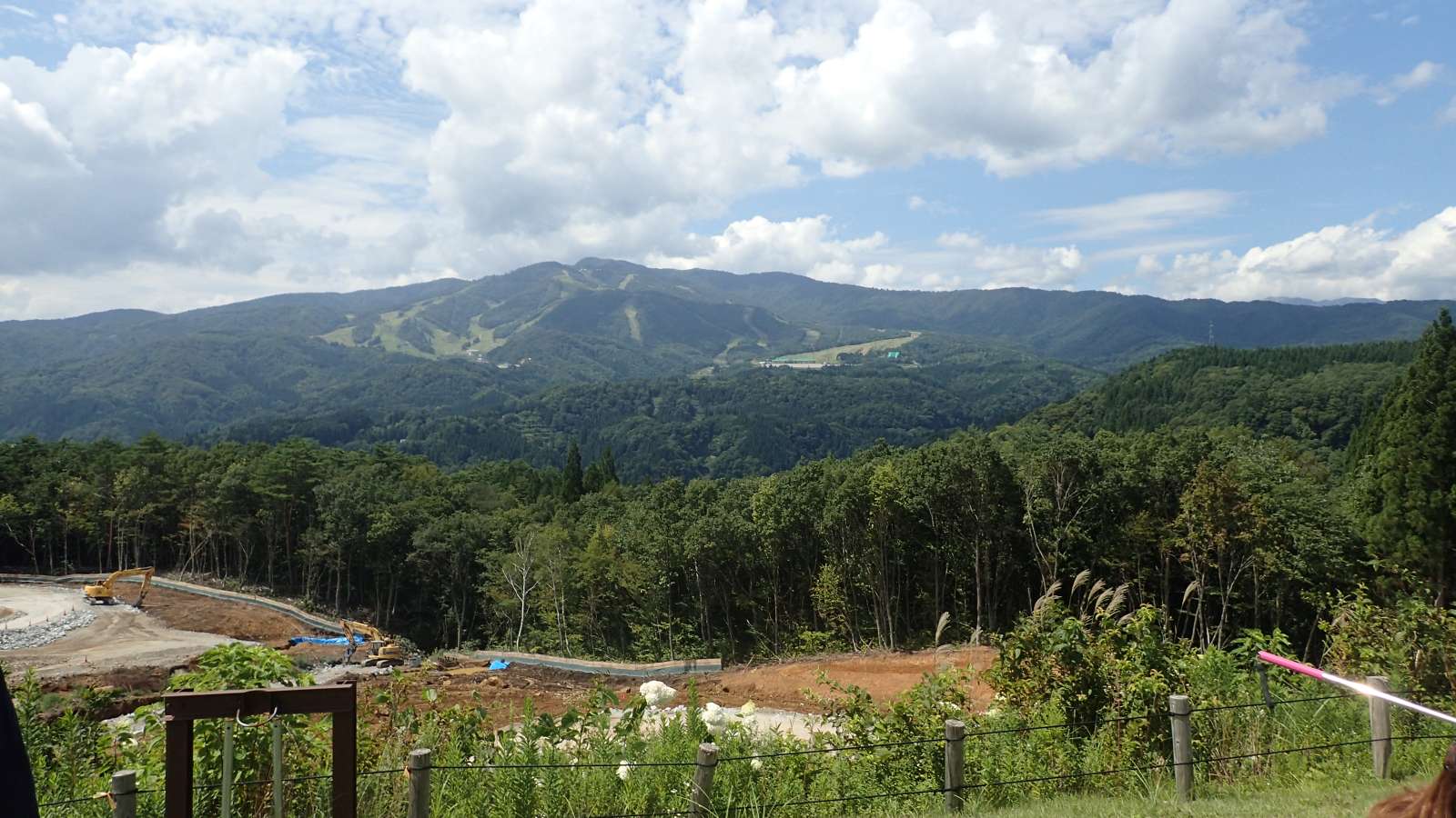 20150828-001.jpg