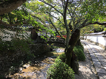 img_1832_thumb.jpg