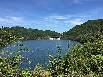 img_1863_thumb.jpg