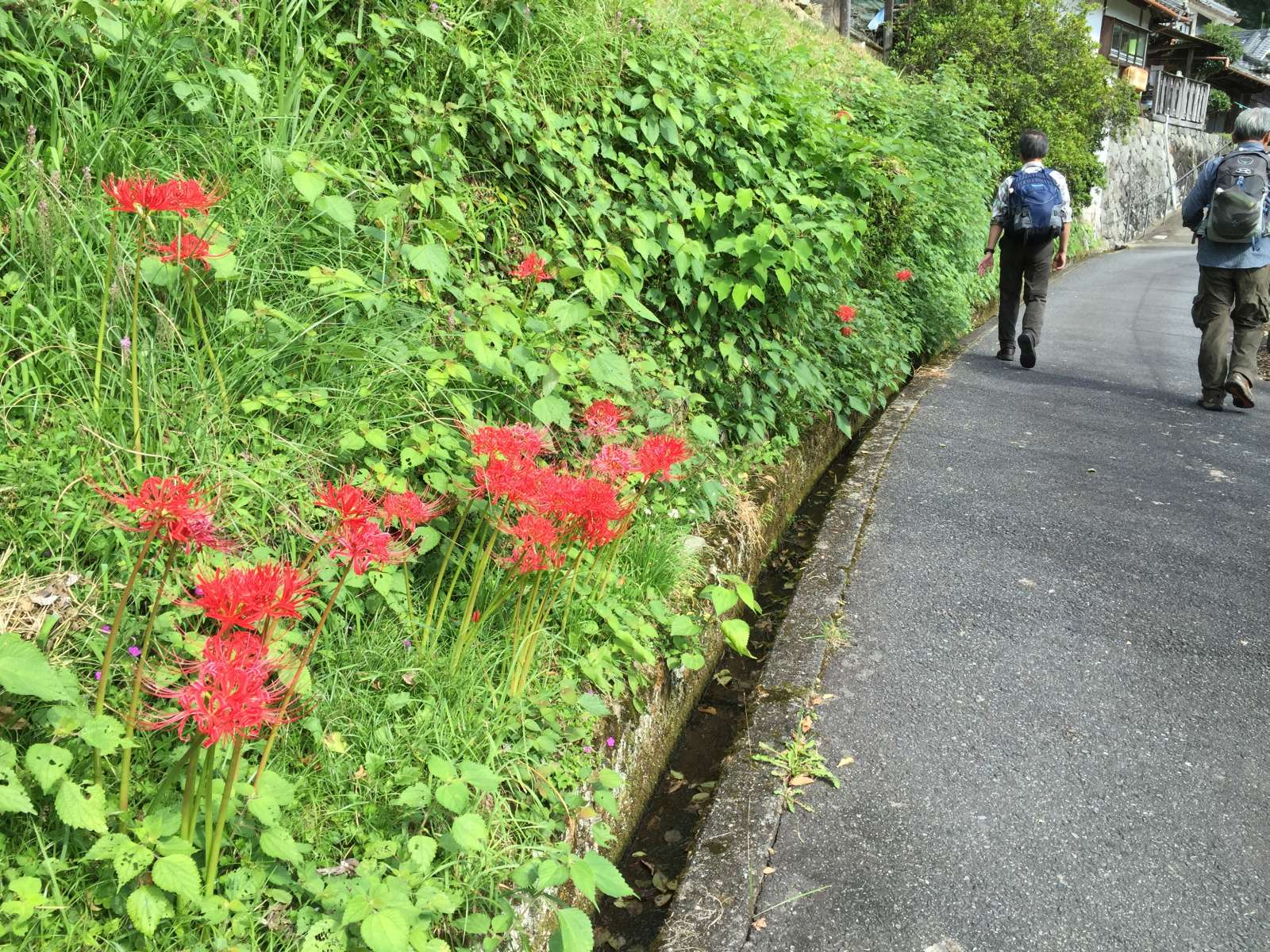 20150921-006.jpg