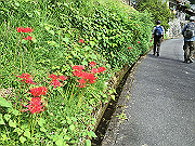 20150921-006_thumb.png