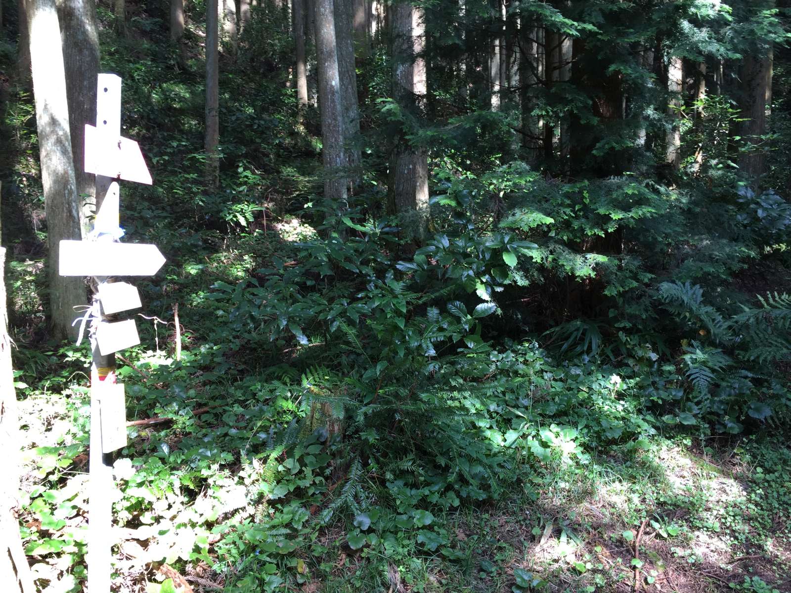 20150921-011.jpg
