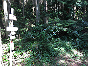 20150921-011_thumb.png