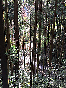 20150921-013_thumb.png