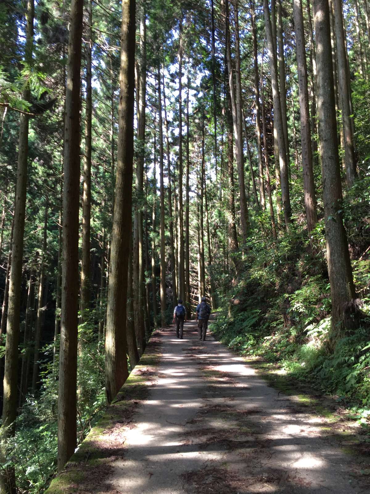 20150921-014.jpg