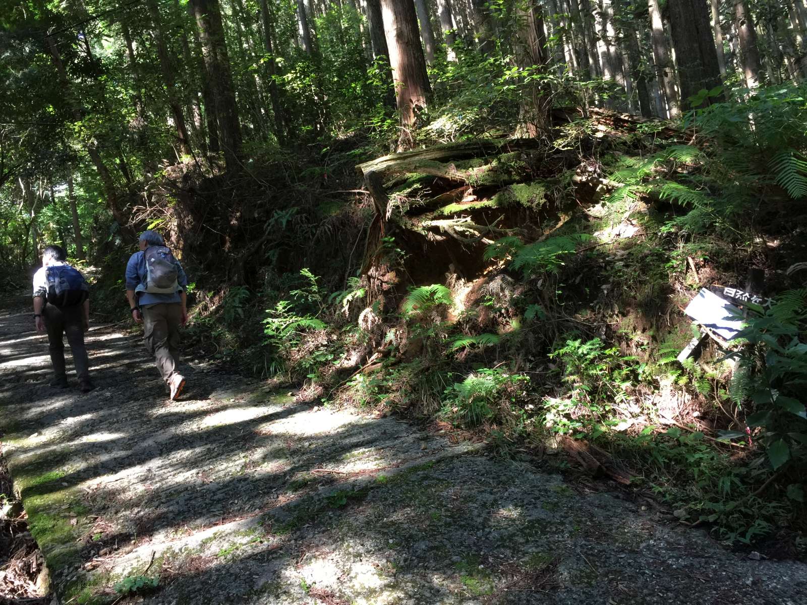 20150921-015.jpg