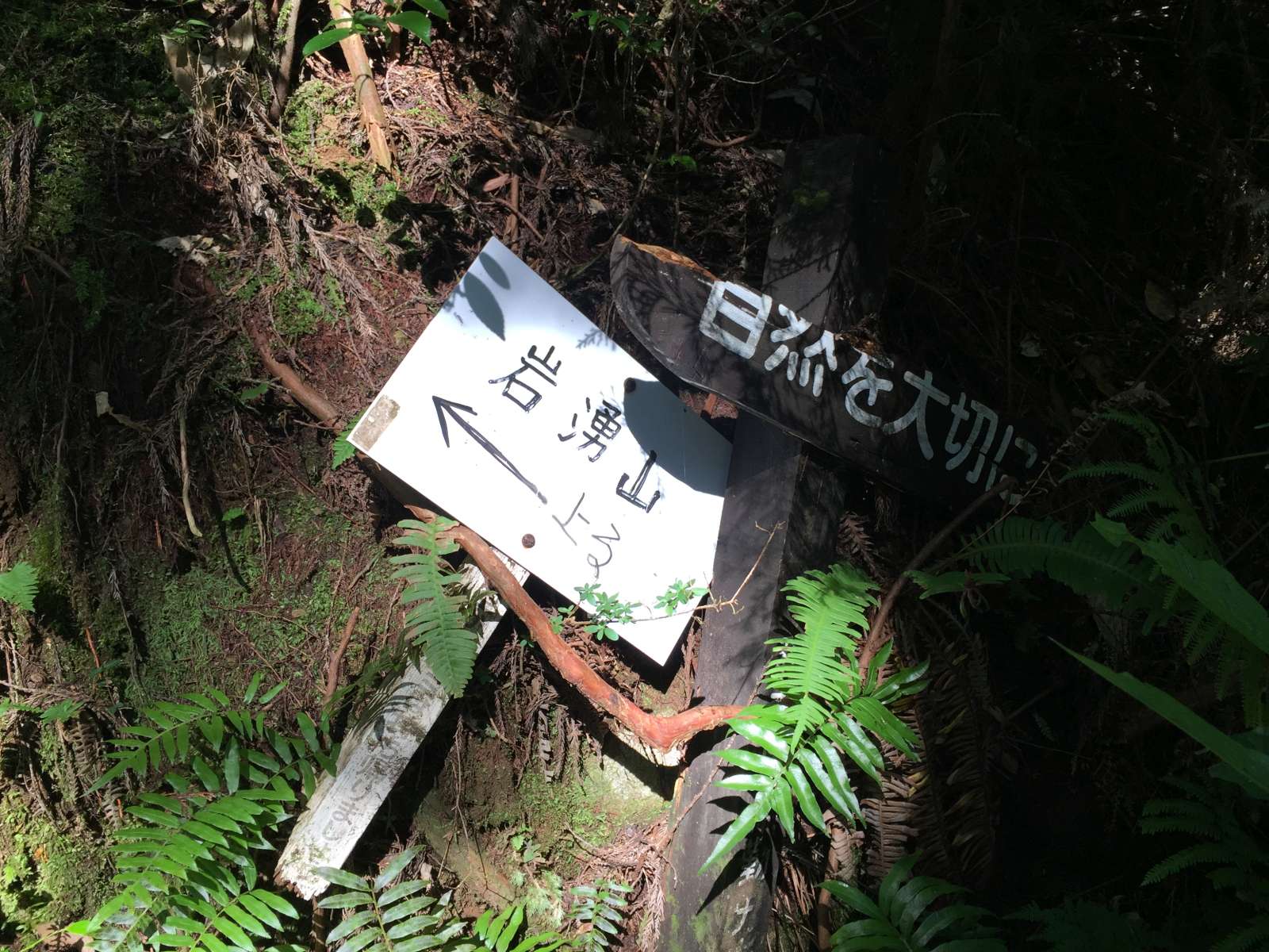 20150921-016.jpg
