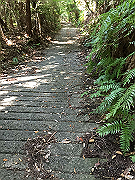 20150921-018_thumb.png