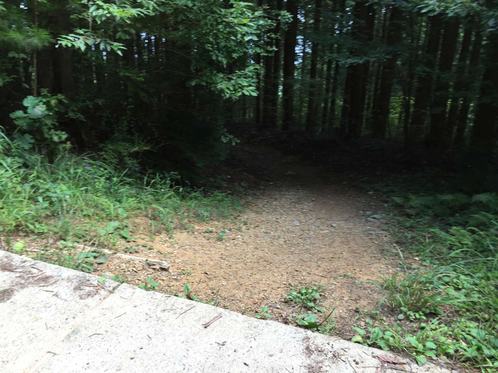 20150921-028.jpg