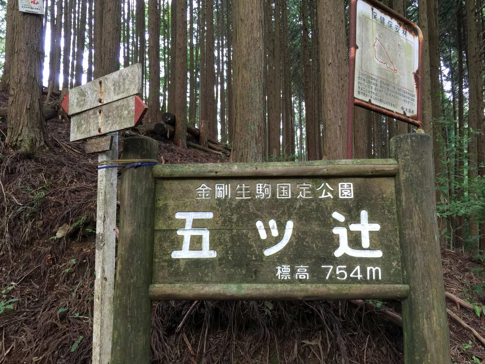 20150921-032.jpg