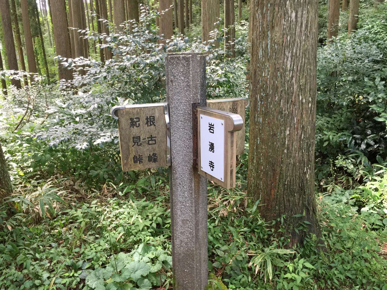20150921-034.jpg