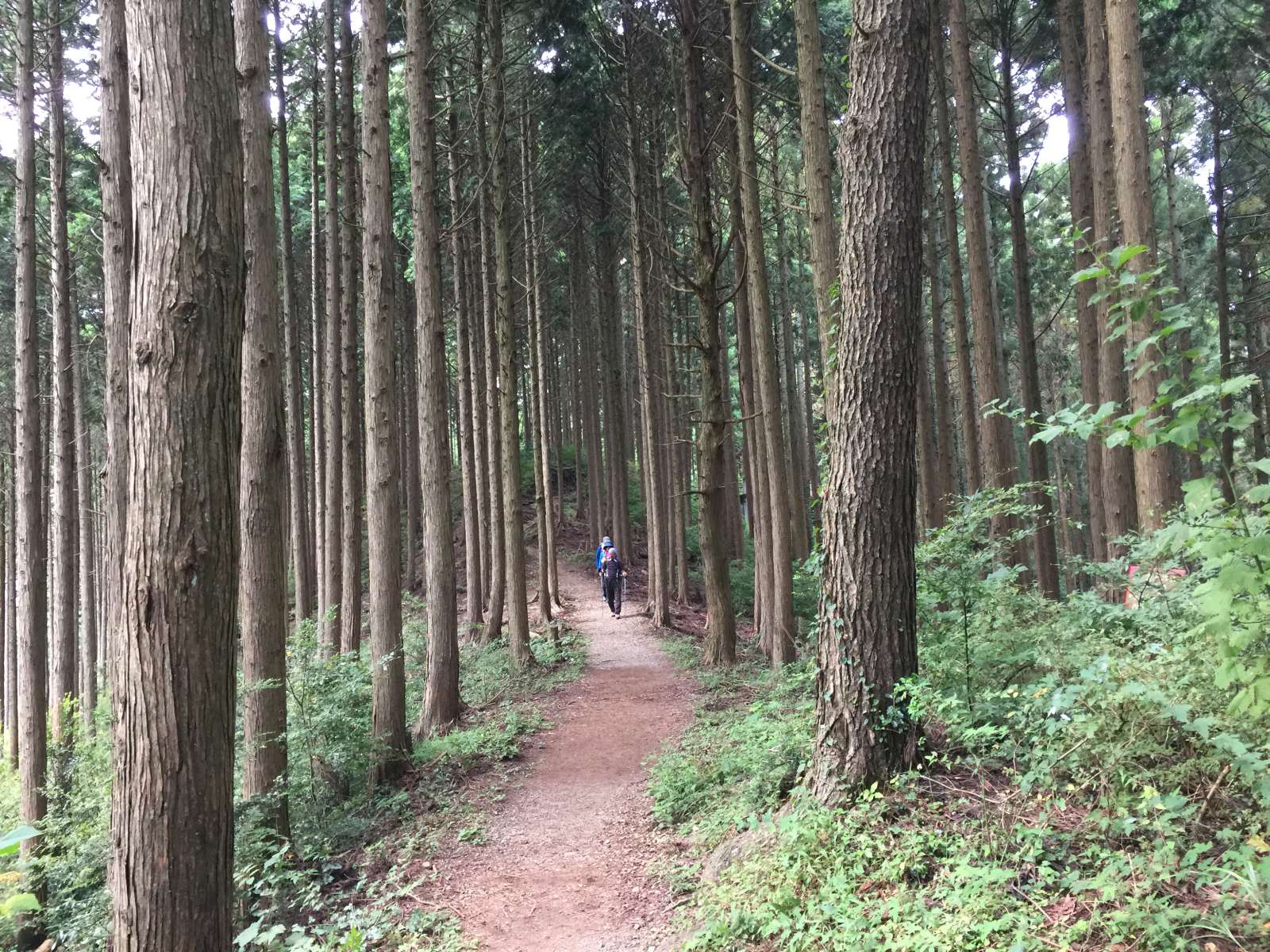 20150921-037.jpg