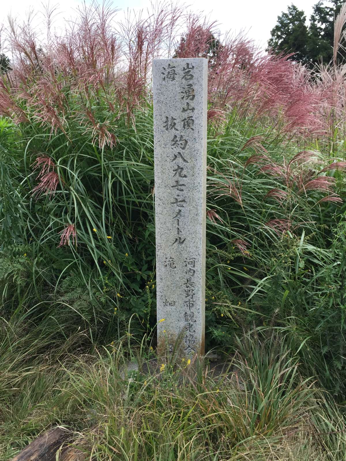 20150921-056.jpg