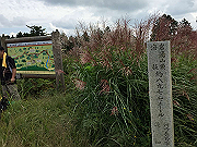 20150921-057_thumb.png